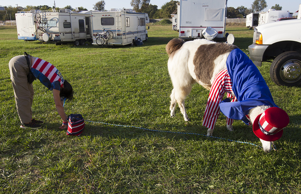  Carolyn Rice stretches while Uncle Sam, the llama, snacks behind the tent just before the intermission of the show. 