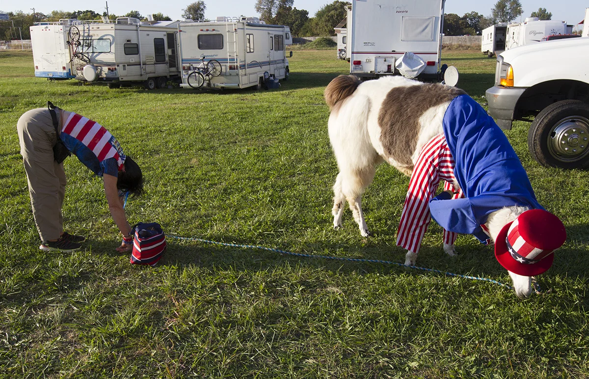 Carolyn Rice stretches while Uncle Sam, the llama, snacks behind the tent just before the intermission of the show.