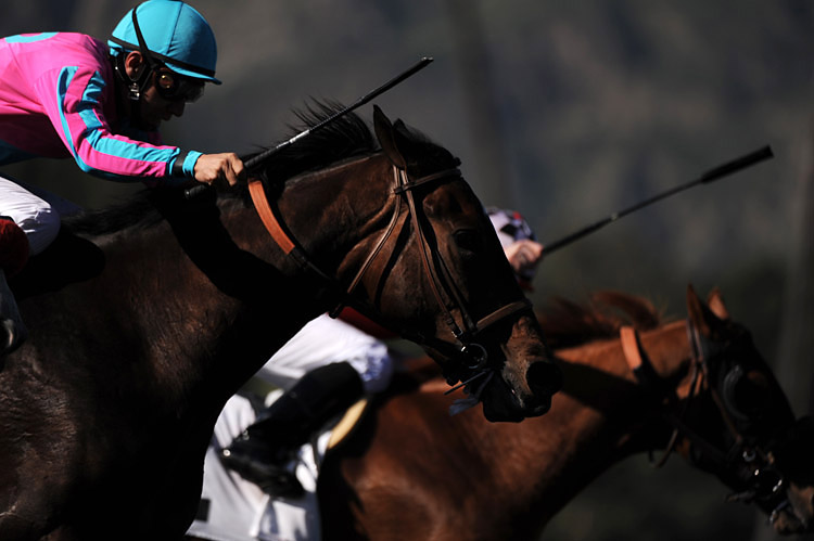  The jockeys&nbsp;compete in their final race of the day at Santa Anita Park in Arcadia, Ca.&nbsp;Thursday, April 8, 2010.    