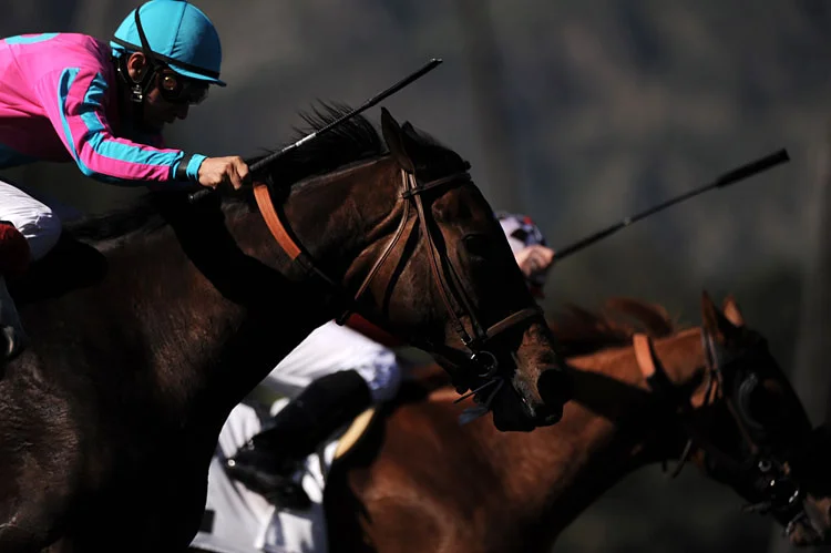 The jockeys compete in their final race of the day at Santa Anita Park in Arcadia, Ca. Thursday, April 8, 2010.