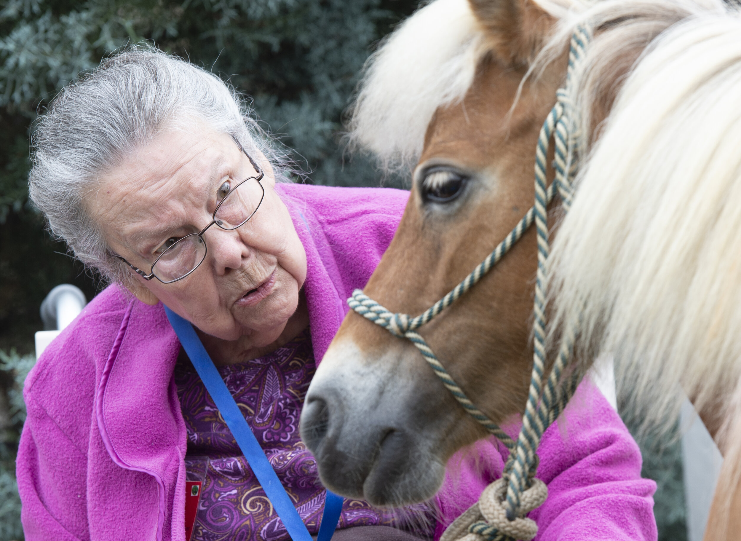  Elizabeth Stanley meets with Cinnamon, a miniature pony, at Prisma Health Senior Care Tuesday, June 18, 2019. (The Greenville News) 