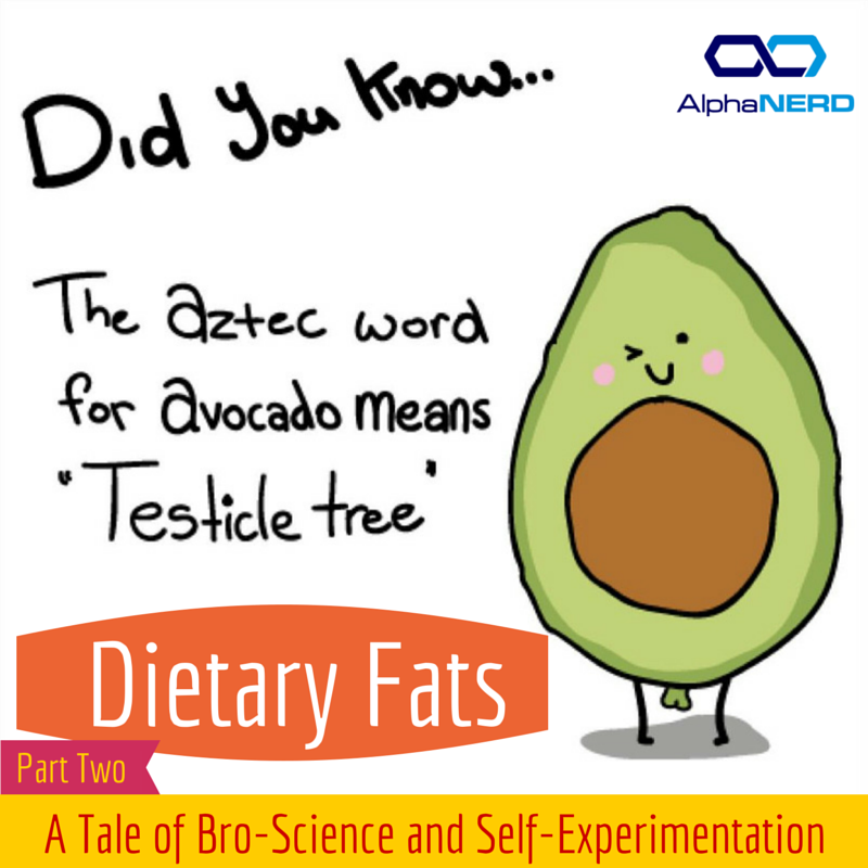 Dietary Fats: A Tale of Bro-Science and Self-Experimentation (Part 2)