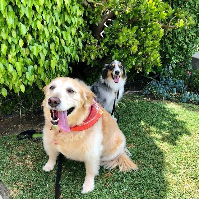 When Winnie met Bodhi... 💕✨💖💫