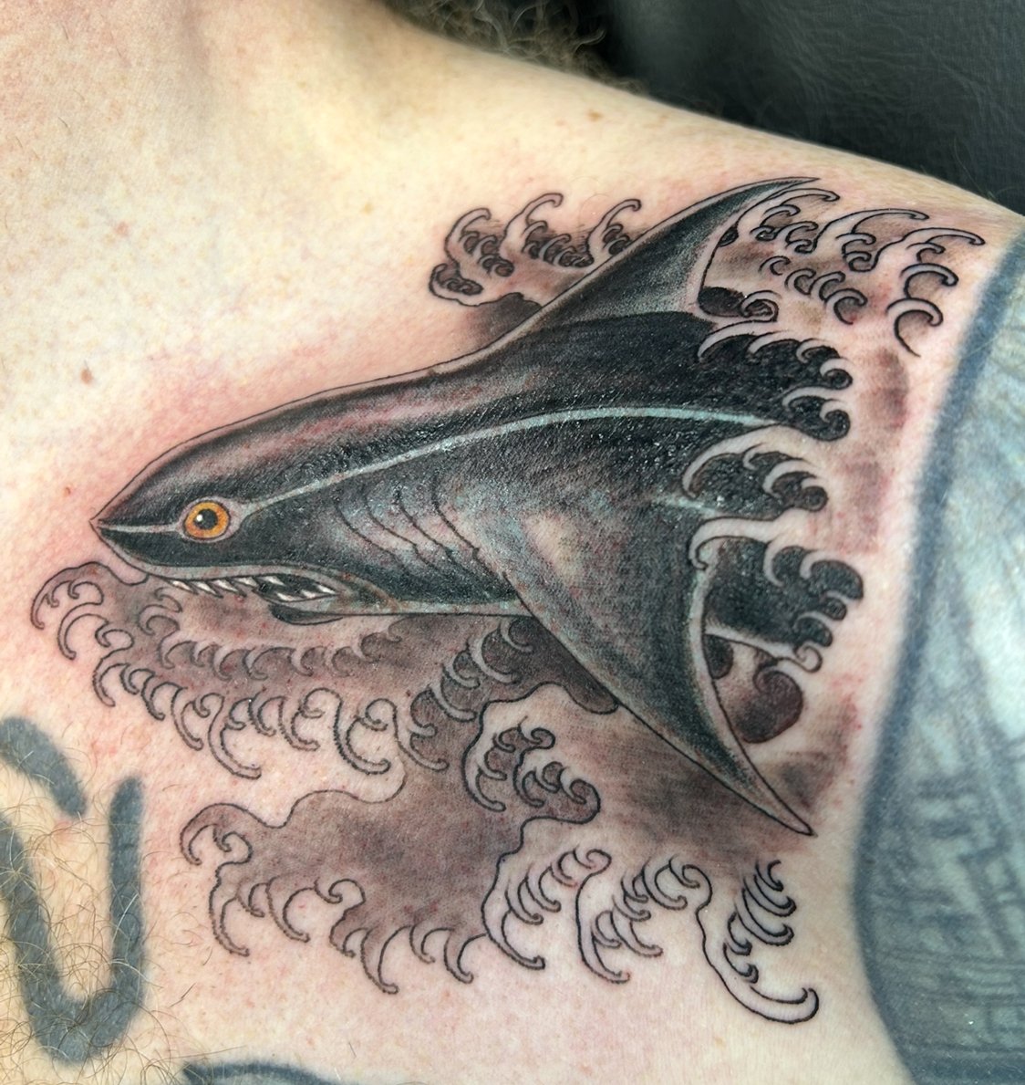 Shark Tattoo by Little Chico (Copy)