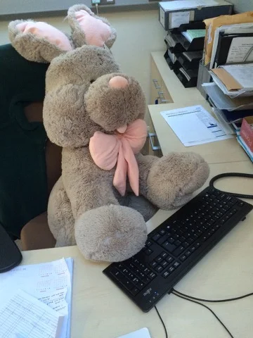 Bunny hard at work