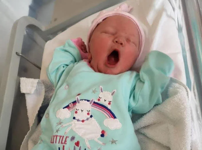 Springfield Lodge’s latest family addition