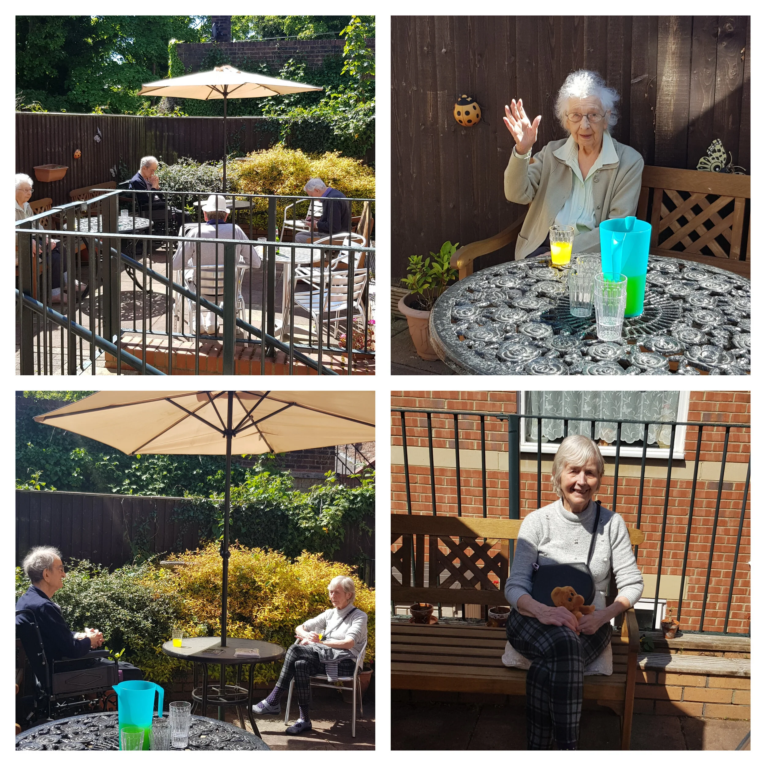 Beautiful afternoon in the sunshine