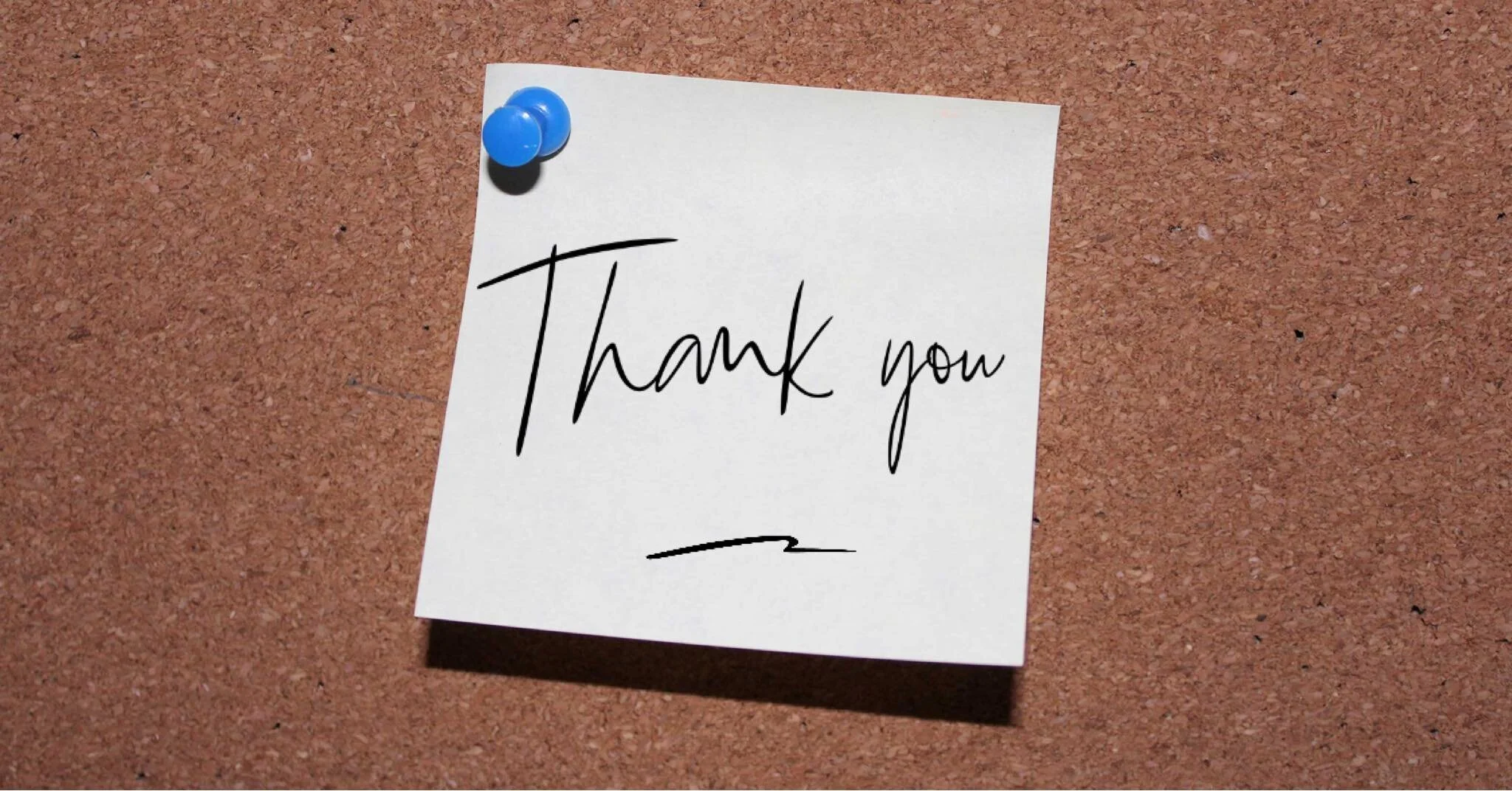 Thank you from Westoe Grange 