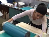 Wood Reduction Print