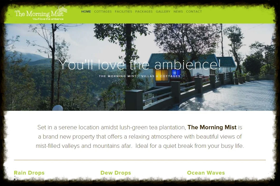 Official website launch