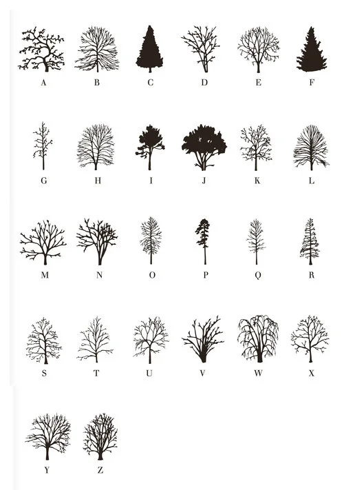 Trees+typeface.jpeg