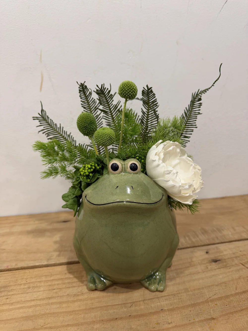 Fiona Frog Preserved Arrangement