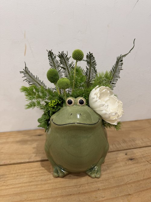 Fiona Frog Preserved Arrangement