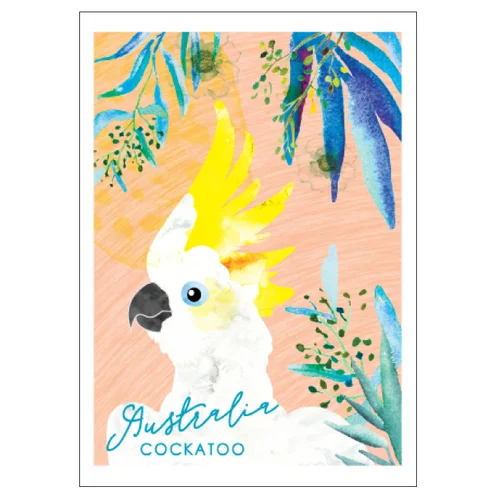 Cockatoo
