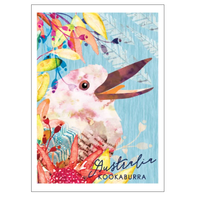 Kookaburra