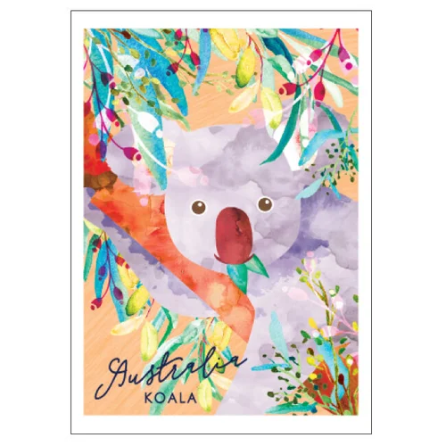 Koala