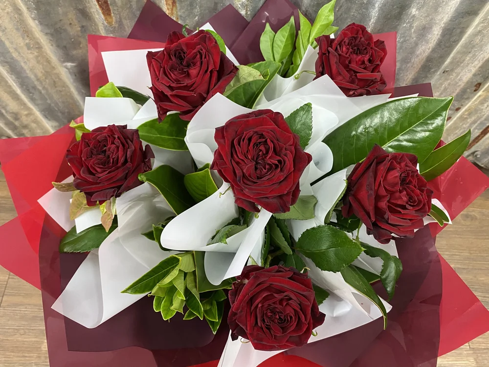 Half a Dozen Red Roses - Winter Pricing