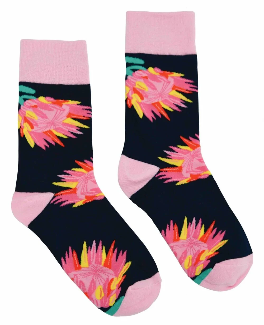 7F7101A9-626D-4550-82CC-431CACE4C03A