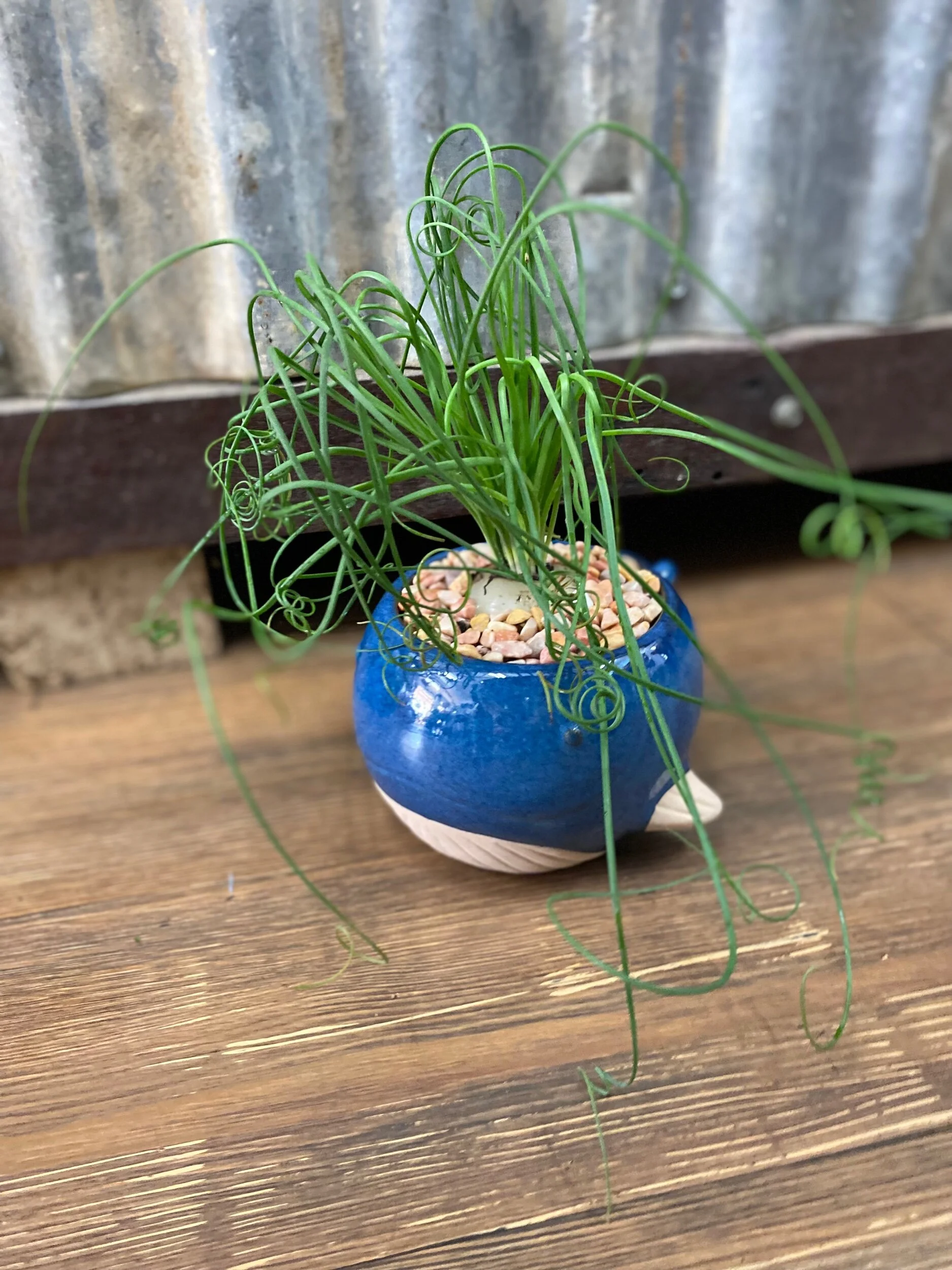 E39CA95D-CD1A-418D-A63D-41185018B3CB