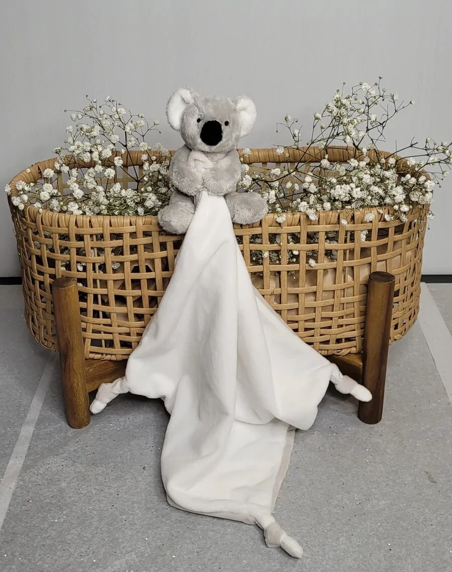 E6A51A6B-3D4B-47E9-AEF6-50C3125865DE