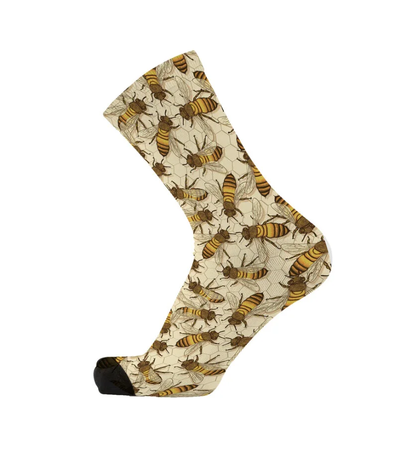 36AC3DF7-121A-4AE2-9789-8F21253DC7F2