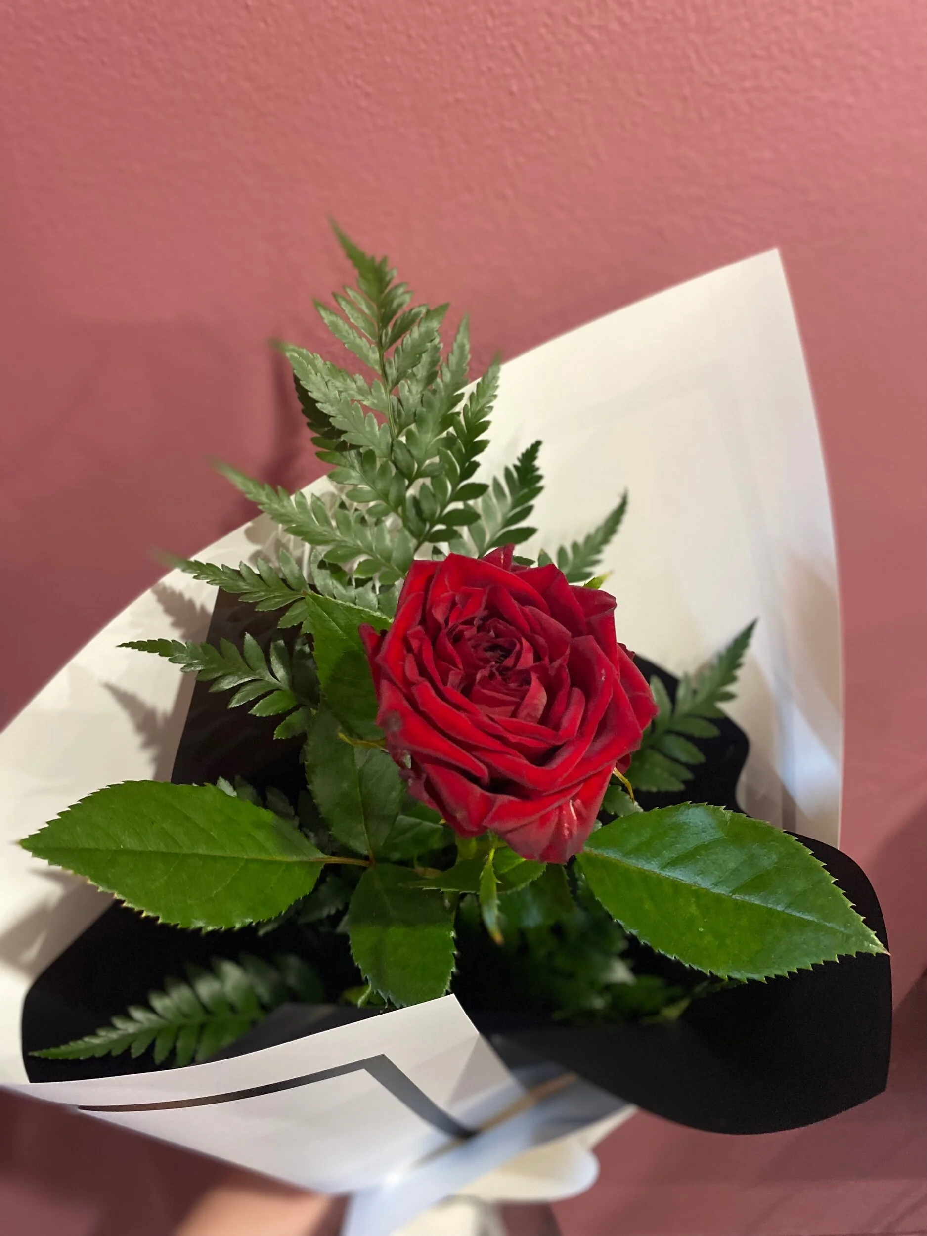 04D56C35-70B8-43AC-A44C-0ADEFA839B31