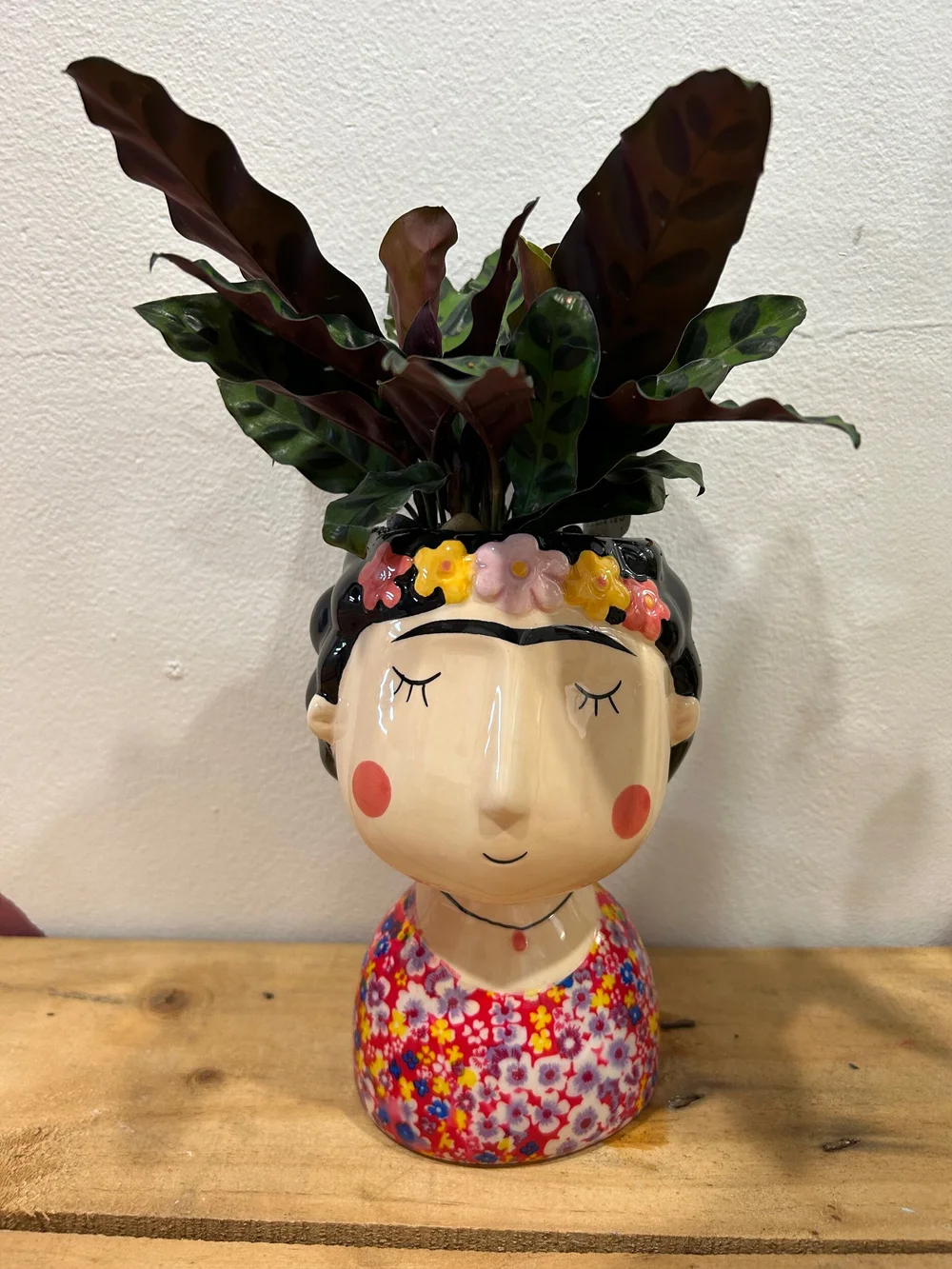 Frida with Calathea