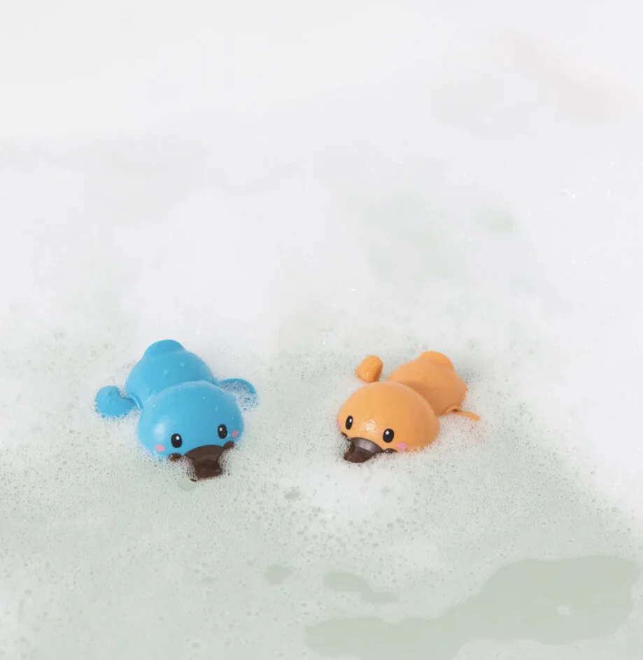 D79D4119-BDAB-482A-84E7-D686A9E7A23B