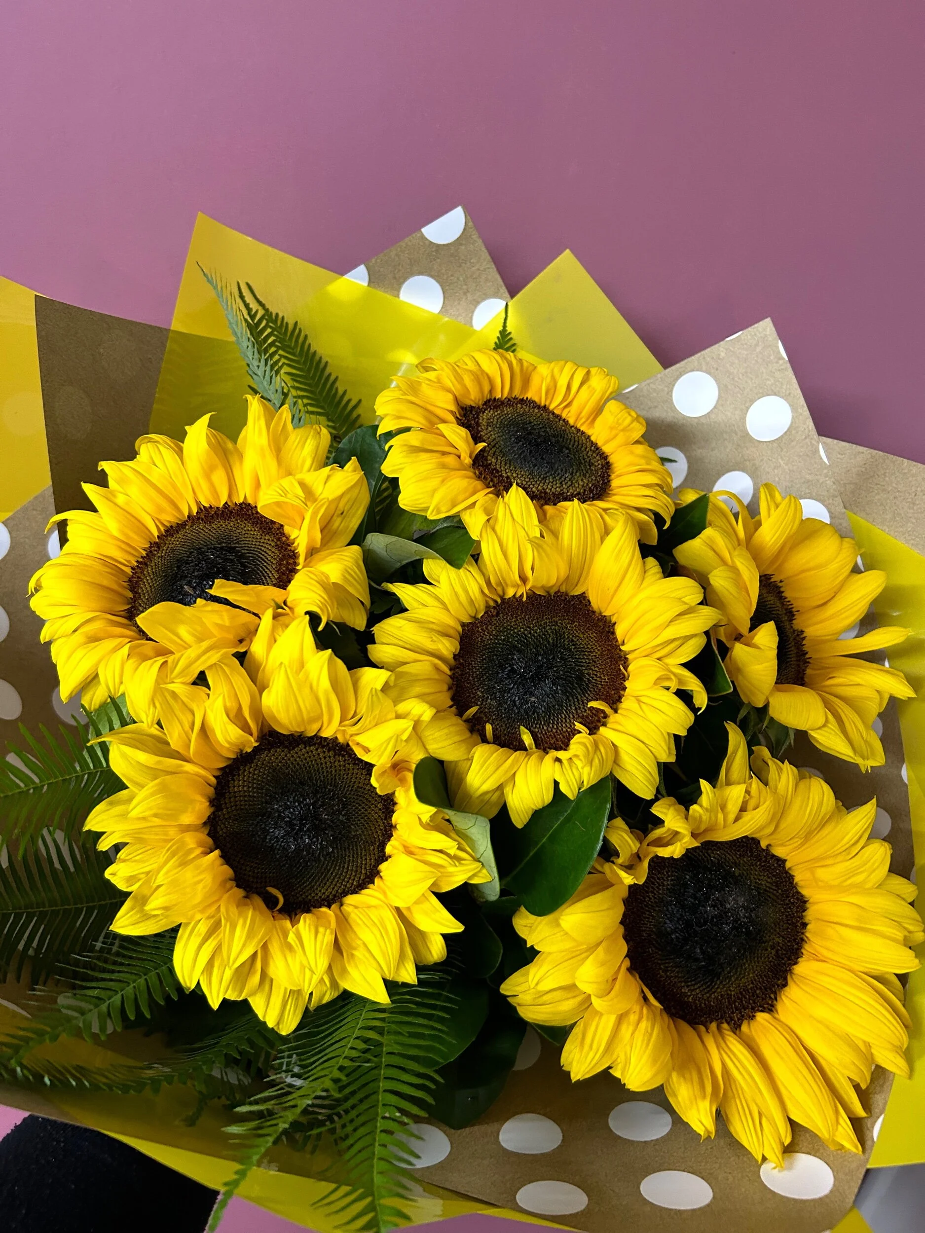 C5918AF5-1BB7-41A6-A42F-90F01618AB1E