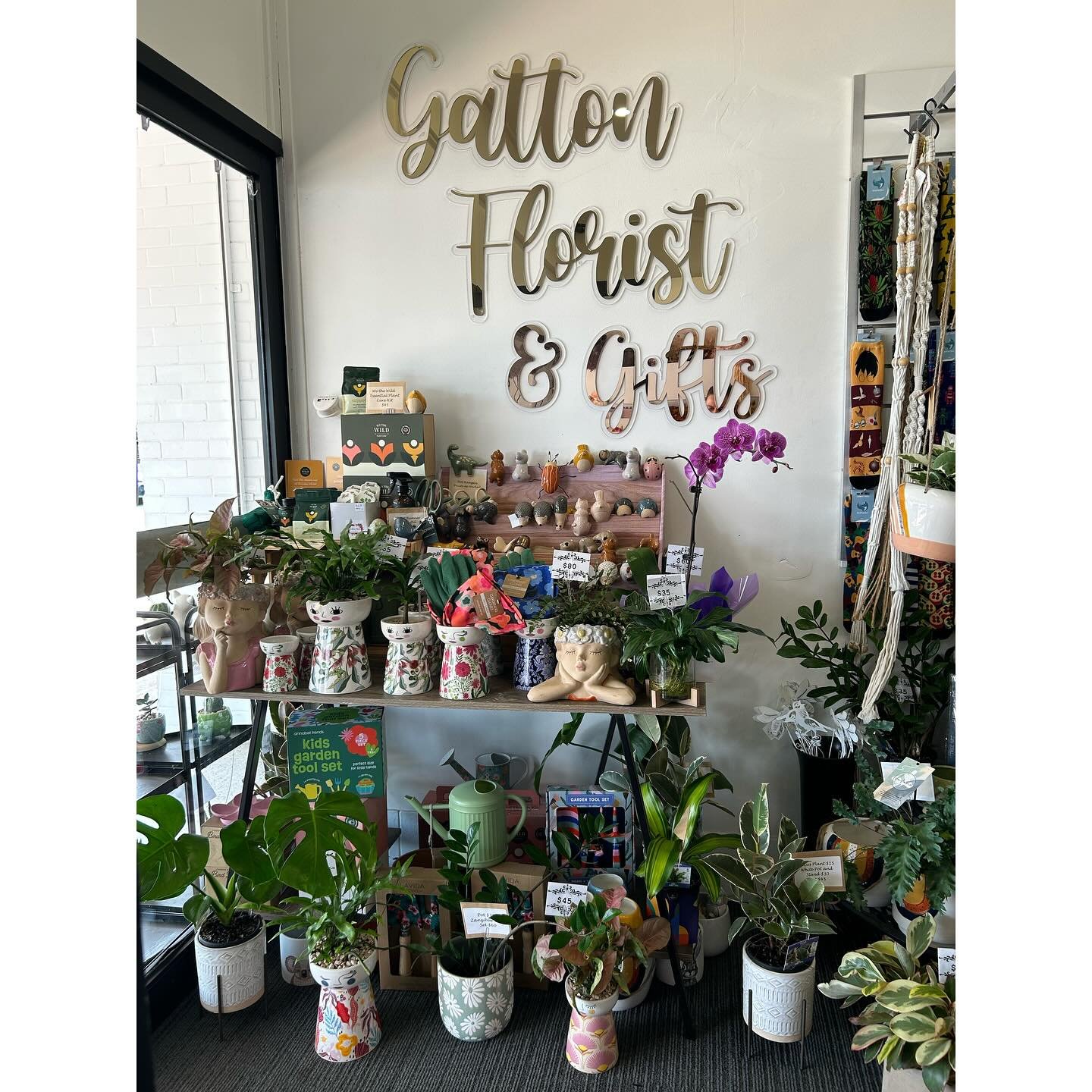 Happy Thursday 🪴 
We&rsquo;re open 8.30 - 5 today so pop in &amp; check out all of our awesome new arrivals 🤩 ✌️ 

We&rsquo;ve had a massive plant restock this week
🪴Phalaenopsis Orchid Plants
🪴 Plants potted in Doll Vases &amp; Quirky Pots
🪴 Ho