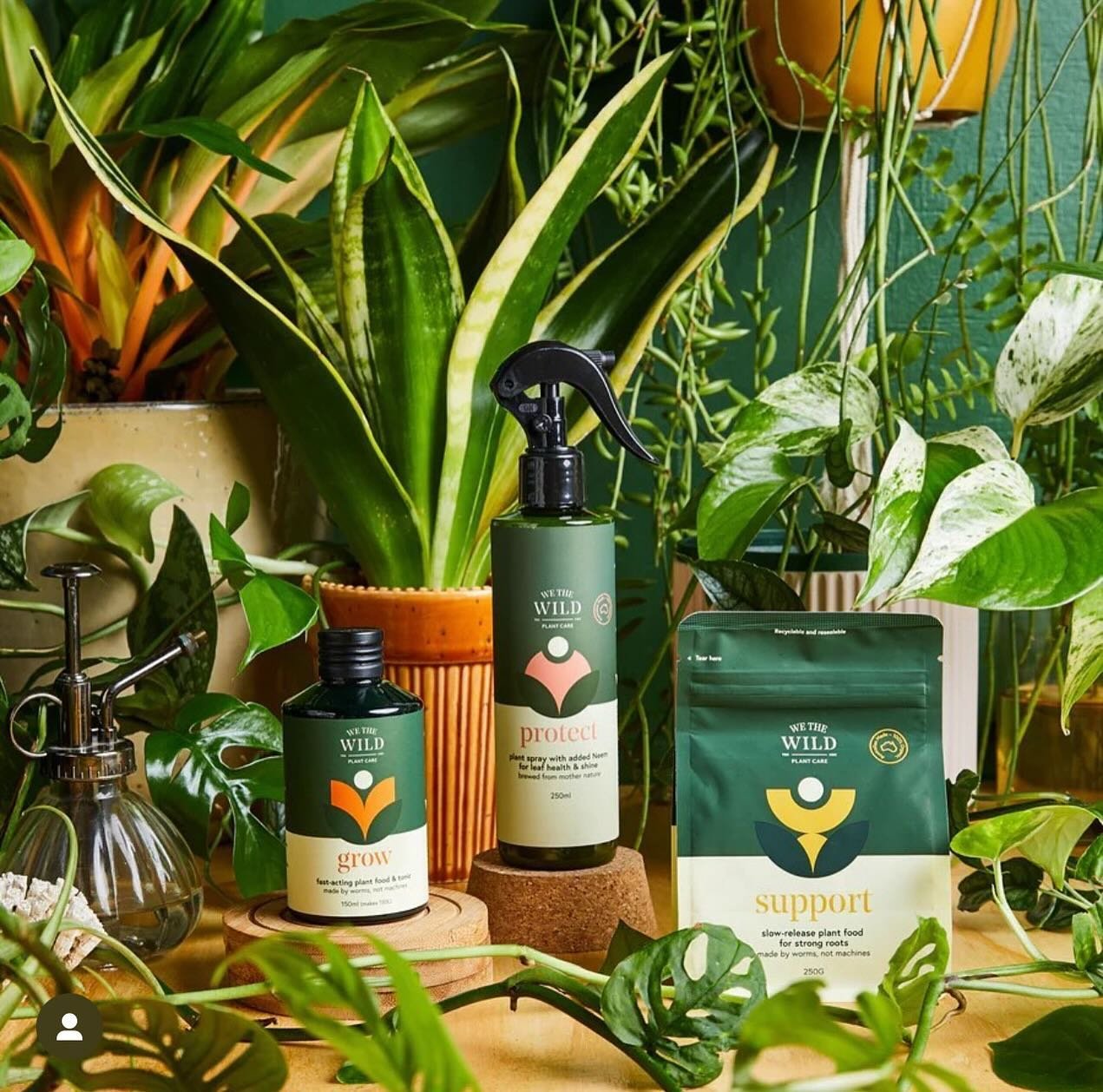 Let&rsquo;s talk Plant Care 🪴 
Did you know plants need caring for too? 
They not only need Water 💦 but they need Food 🍃 and Light ☀️ to thrive &hellip; Oh and love too 🥰 
Add in @wethewildofficial Plant Care and watch your plants transform, with