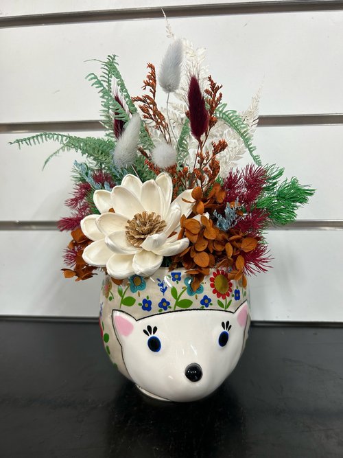 Holly Hedgehog Preserved Arrangement