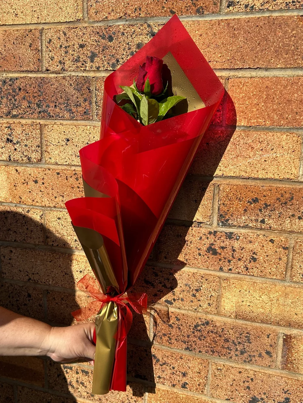 Single Gift Wrapped Red Rose