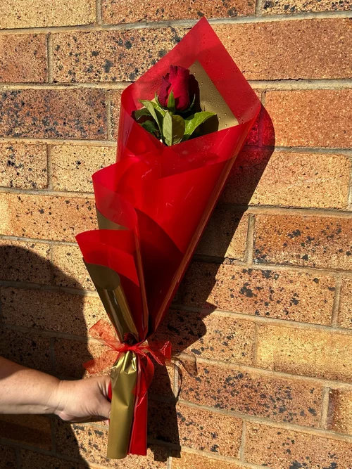 Single Gift Wrapped Red Rose