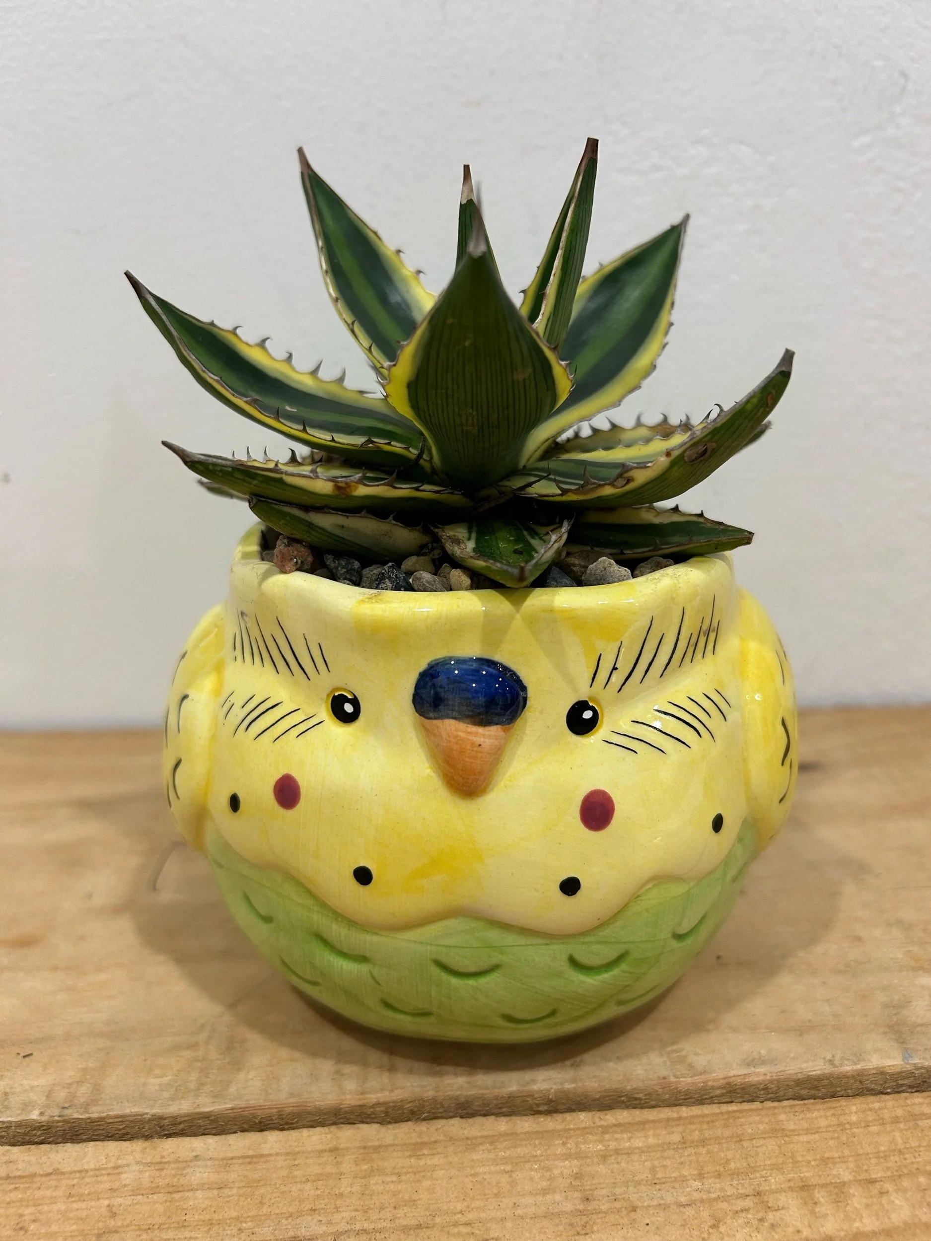 3622C445-6B4D-491F-8208-6C1C800448A3.jpeg