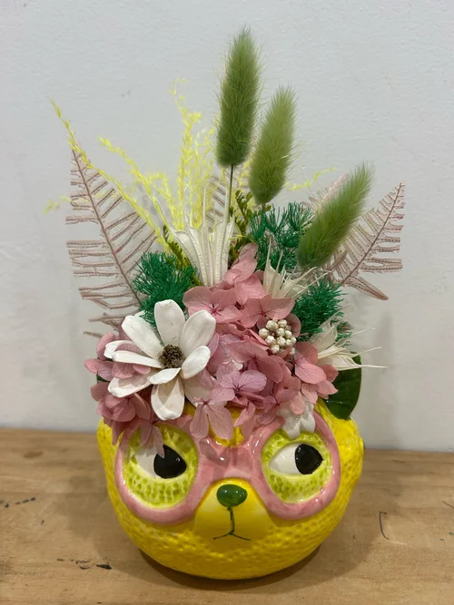 Lemon Cat Preserved Arrangement