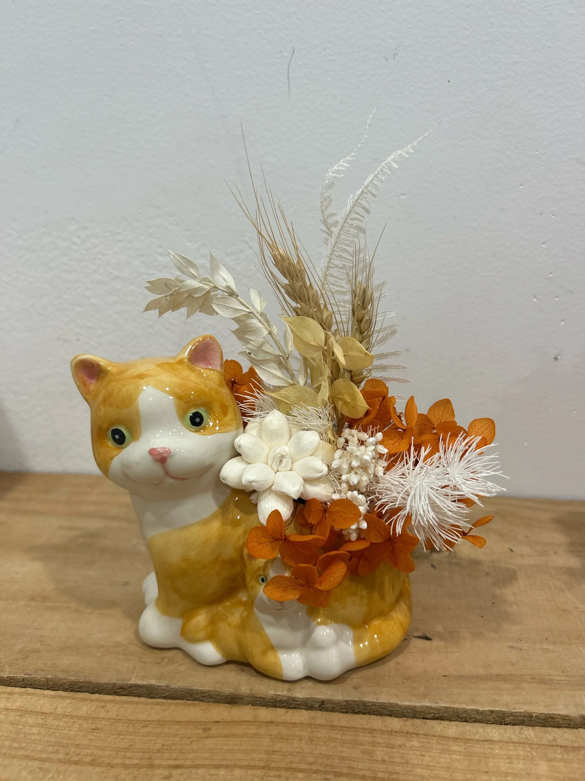 DB7E8D77-392F-44ED-B50D-0ECDE8121563.jpeg