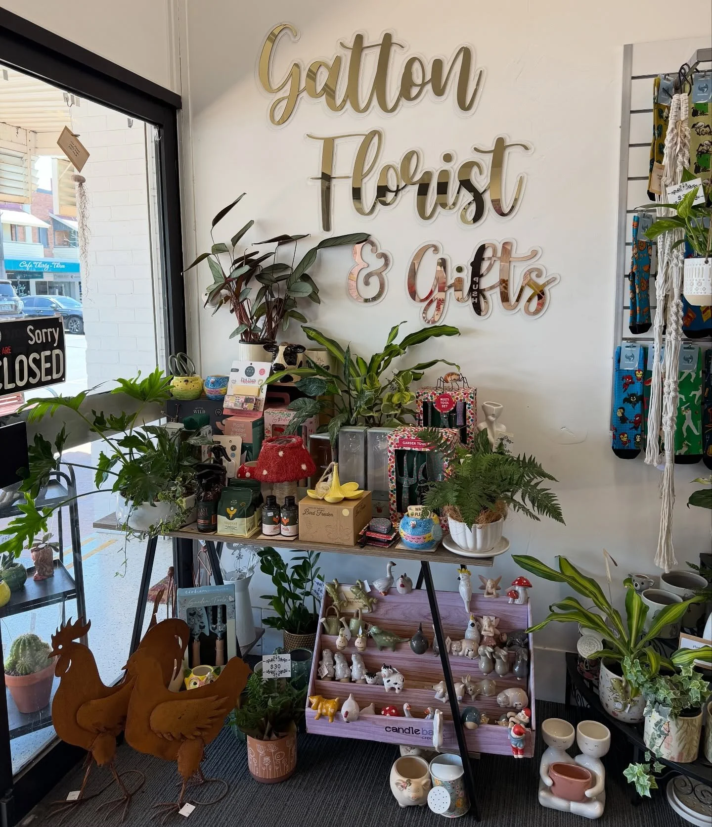 🌿 Plant lovers, this one&rsquo;s for you! 🌿

We&rsquo;re not just about beautiful blooms&mdash; our plant collection is forever growing too! From lush leafy greens to low-maintenance cuties, we&rsquo;ve got the perfect plant to brighten your home, 
