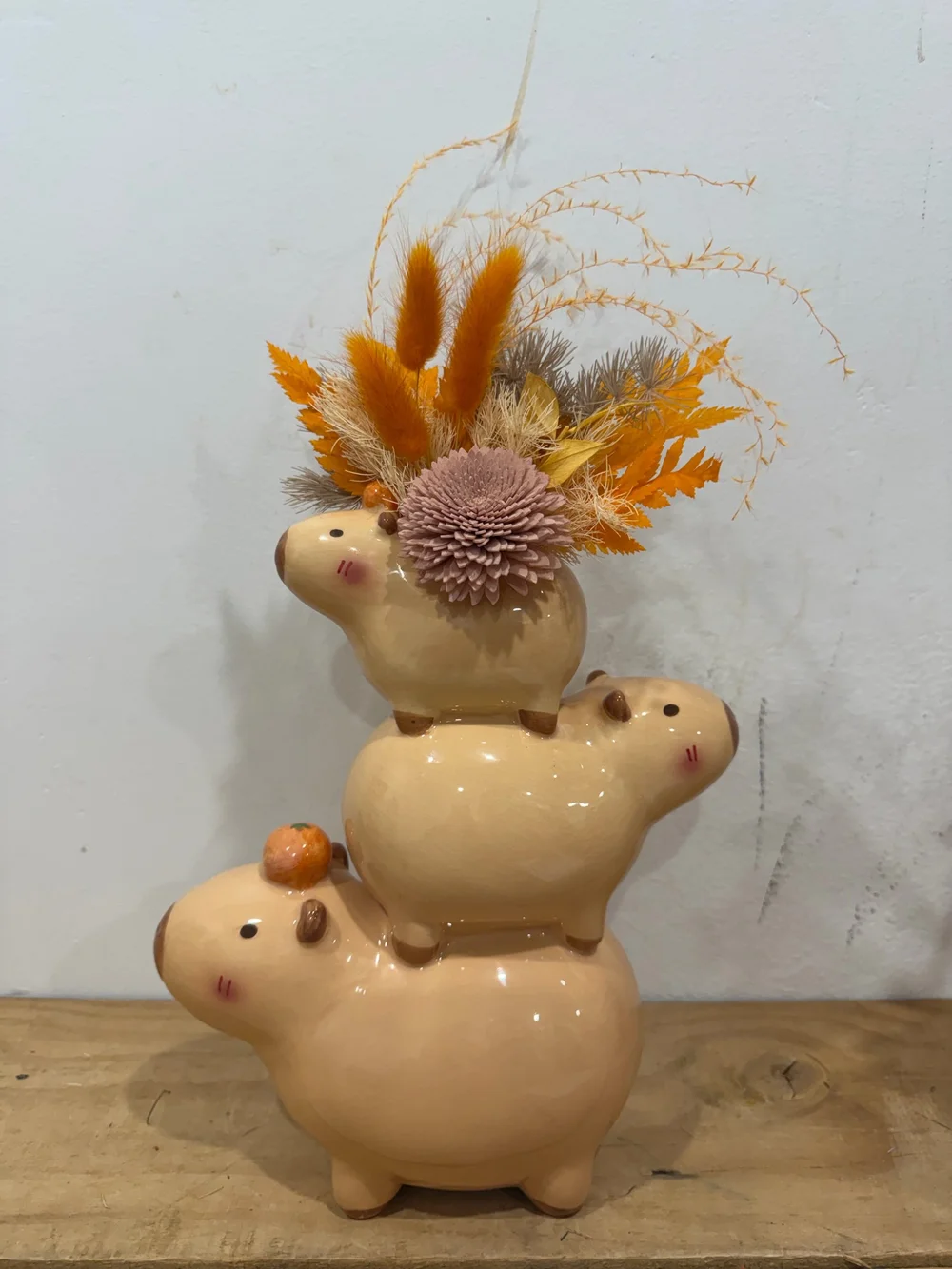 Capybara Stack Preserved Arrangement