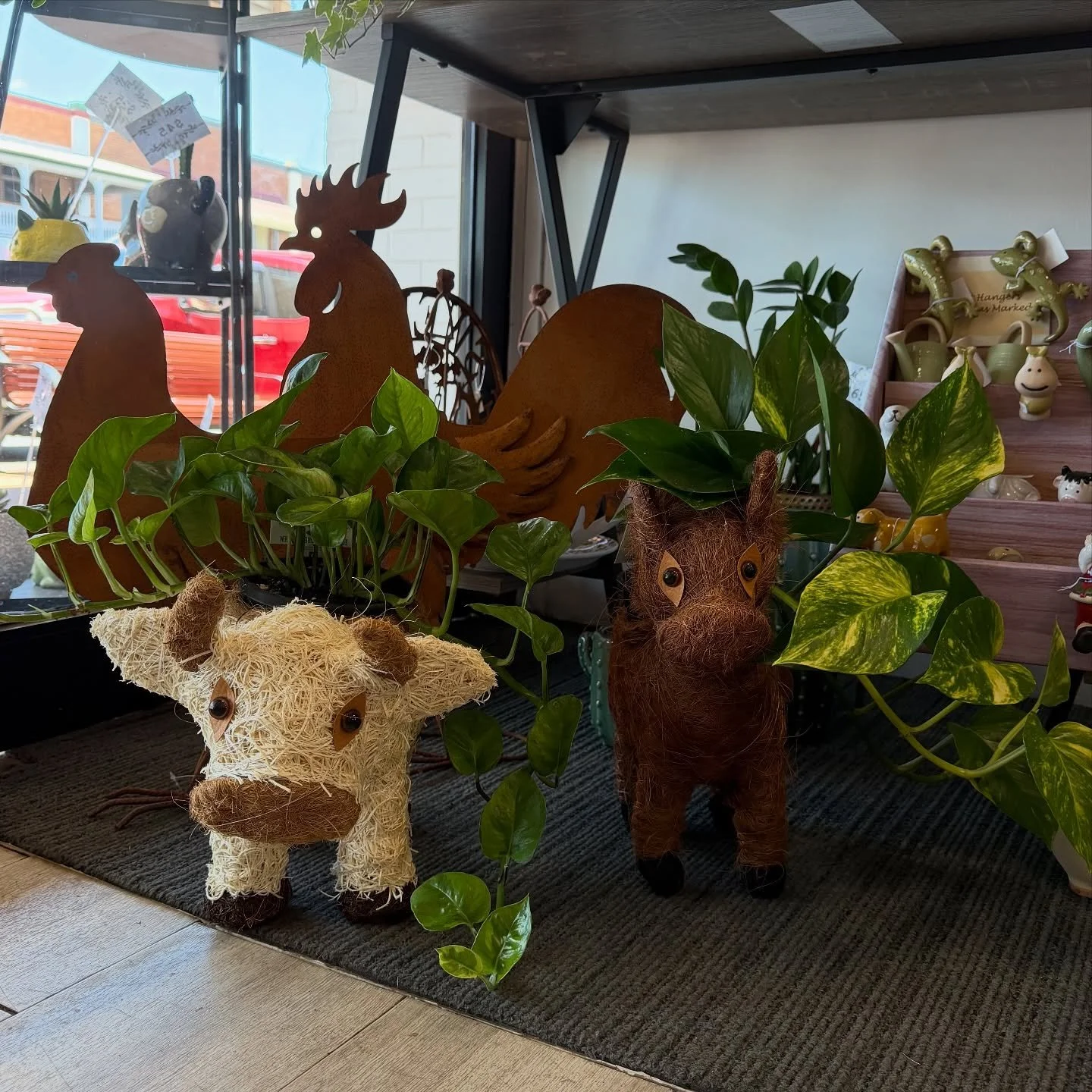 Slow Saturday mornings with the scent of fresh flowers&hellip; This is our happy place 🌷
Come find yours too.

Lots of beautiful Blooms to smell and Gifts to explore. 

Open 8.30-12, see you soon 🫶