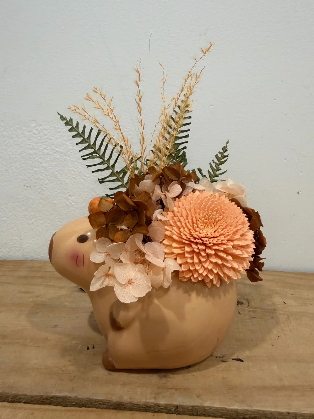 Capybara Preserved Arrangement