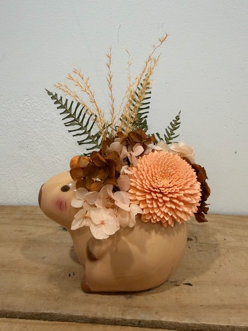 Capybara Preserved Arrangement