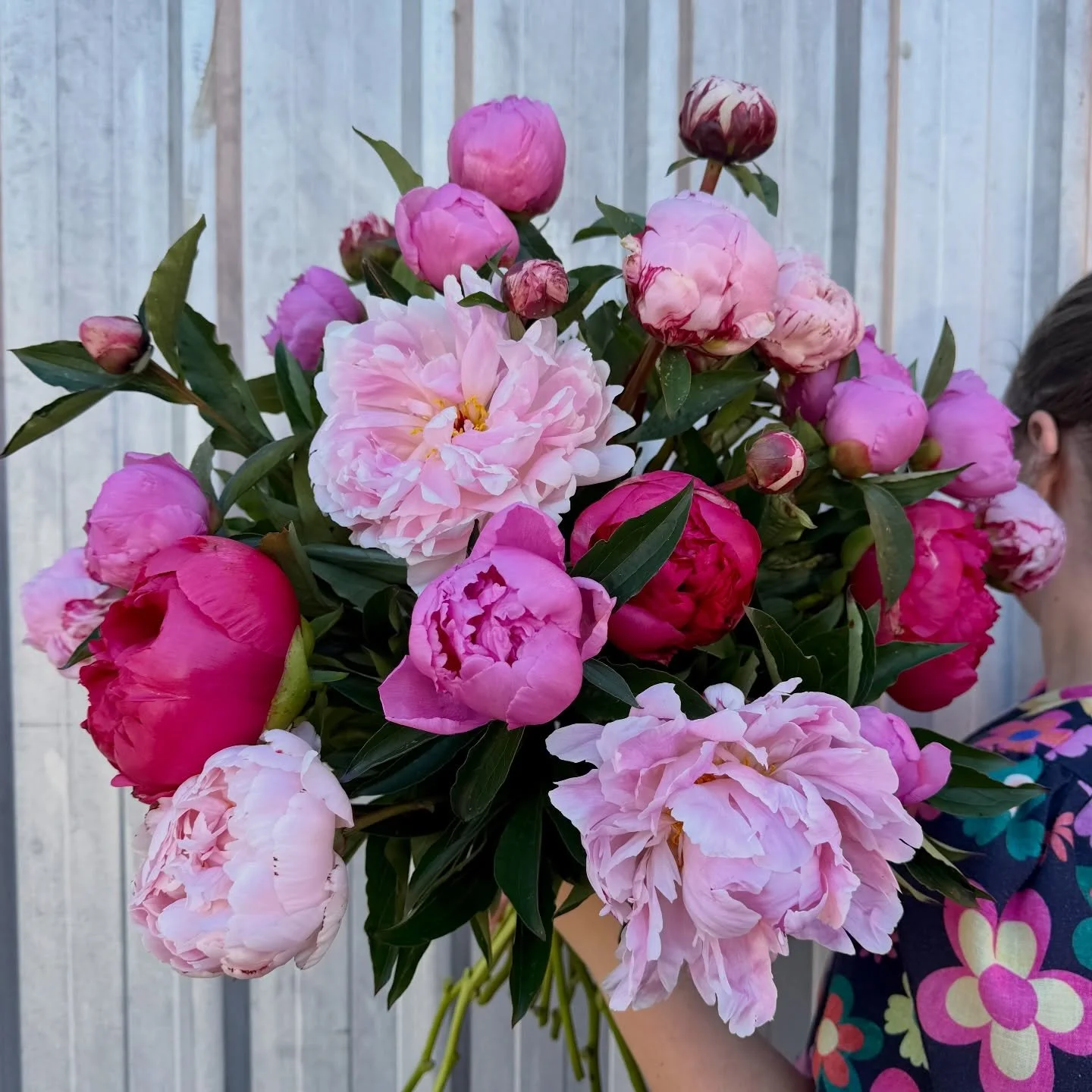 Happy Monday Flower Lovers 🌸💐

Peony season is almost over for another year! We&rsquo;ve loved sharing every ruffled, beautiful bunch with you.

If you were hoping to treat yourself (or someone special) to these fluffy favourites, now&rsquo;s the t
