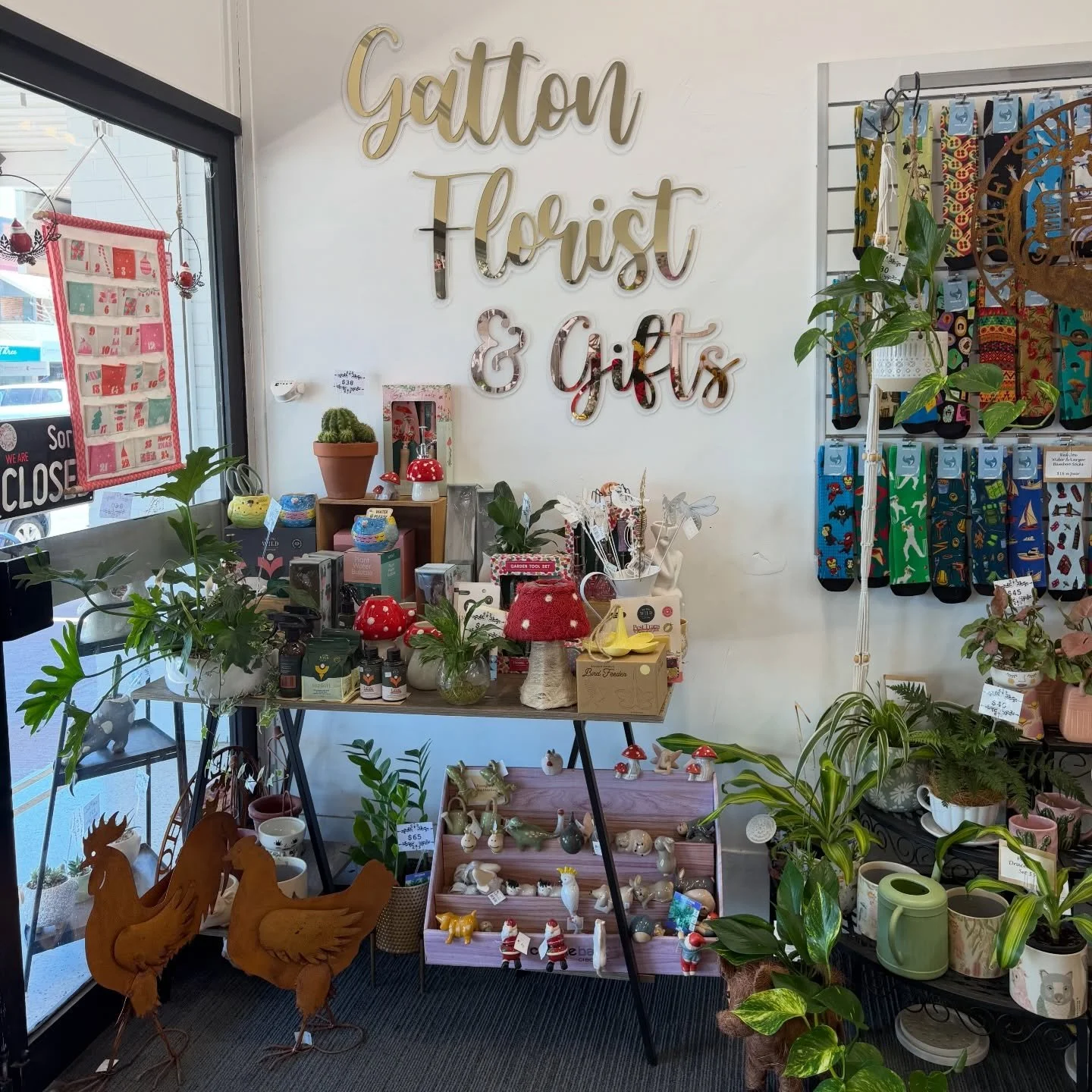 🌸 Happy Saturday, Flower Lovers!
Our shop is blooming and the Christmas spirit has well and truly arrived. ✨

Pop in for fresh flowers, festive gift ideas and all the little treasures that make holiday shopping joyful.

Grab a coffee, wander on in a