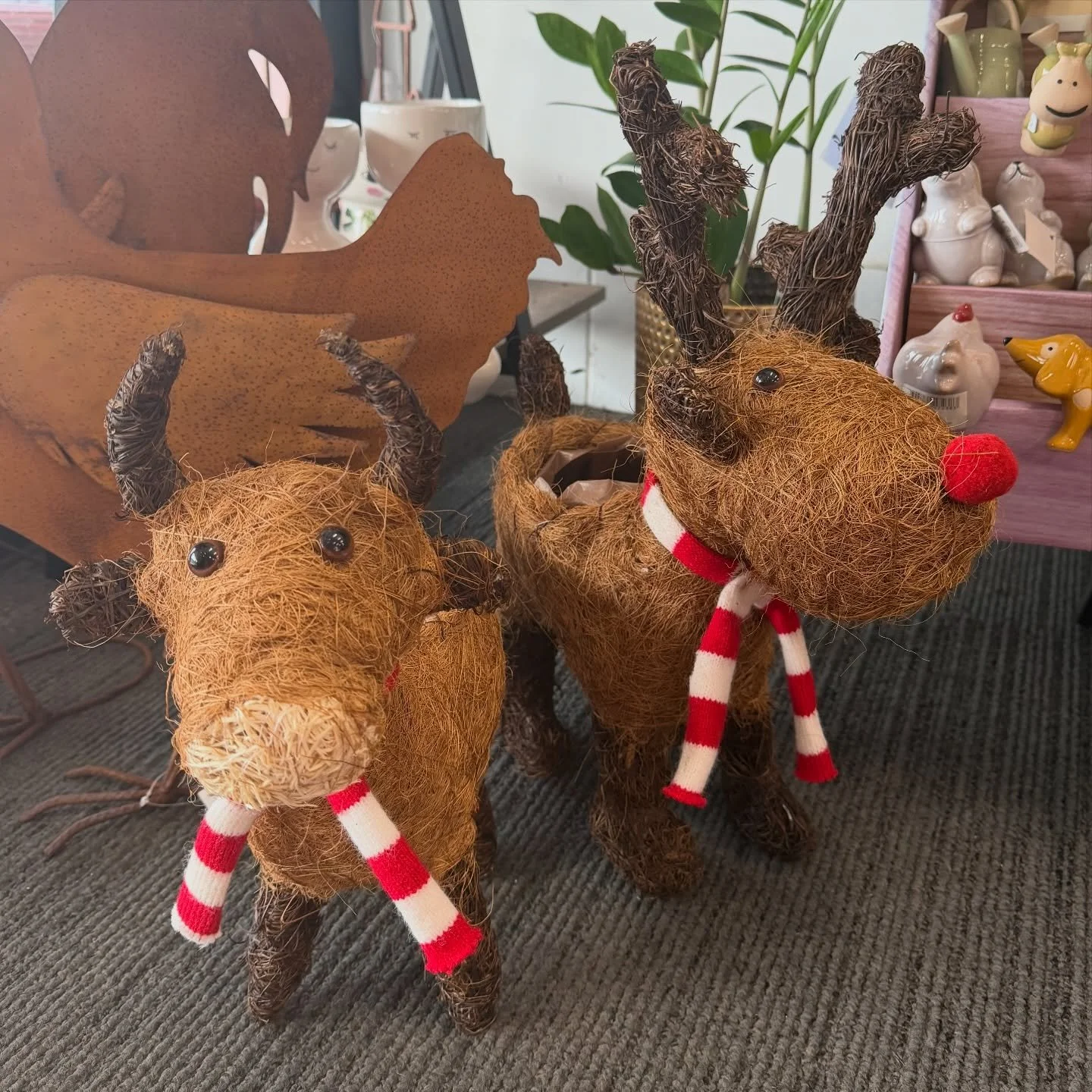These fun festive rattan planters are stealing the show 🎄

From cheeky reindeer to adorable highland cows, they&rsquo;re the perfect way to add a little Christmas character to your plants.

Grab yours in store now 
🏡 12 Railway Street, Gatton