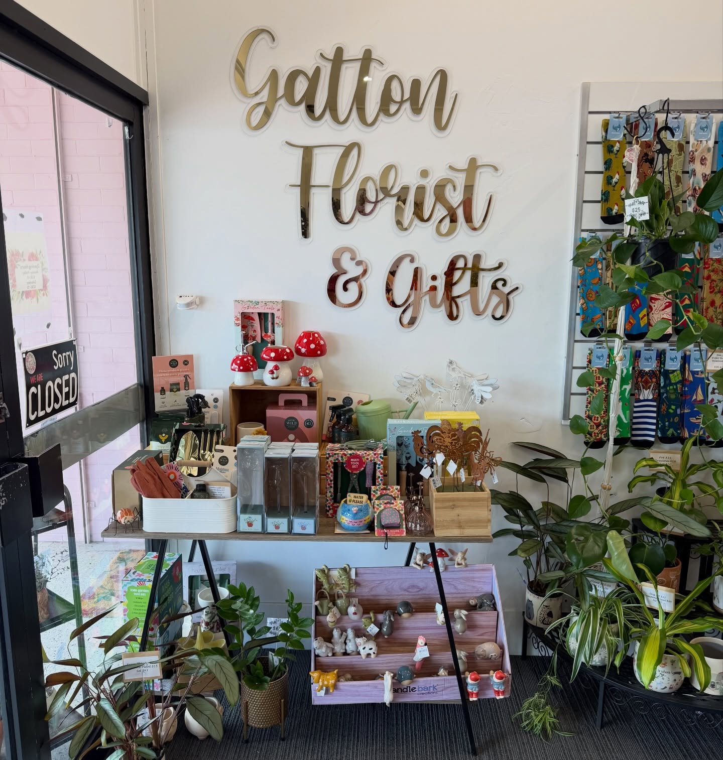 Happy Thursday 
Flower Lovers 💐 🪴

A little corner of green goodness 🌱 Fresh plants, beautiful pots, plant care and instant joy&mdash;ready to take home.

Open 8.30 - 5  M-F
8.30 - 12 Sat