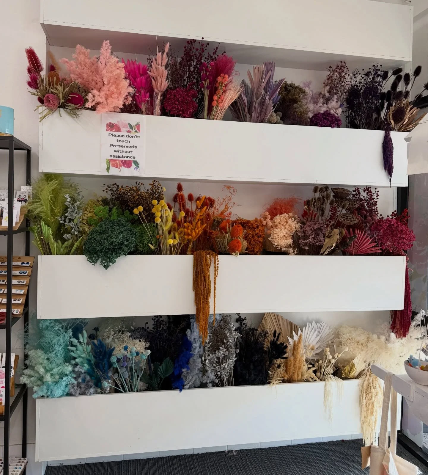 There&rsquo;s something about a clean and organised preserved flower wall that makes my heart happy 🌸✨