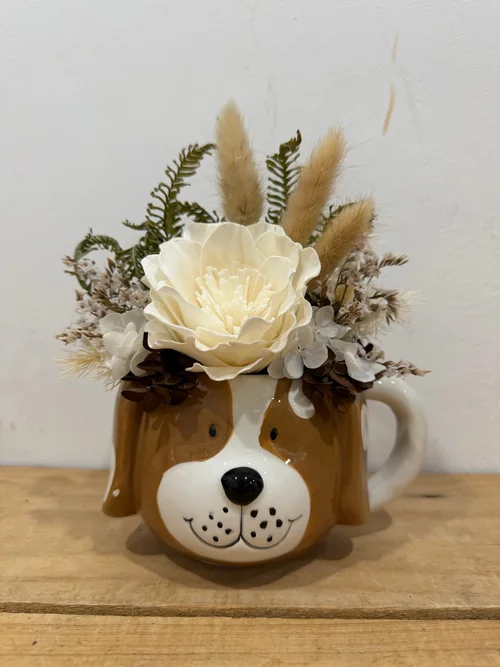 Daniel Dog Preserved Arrangement