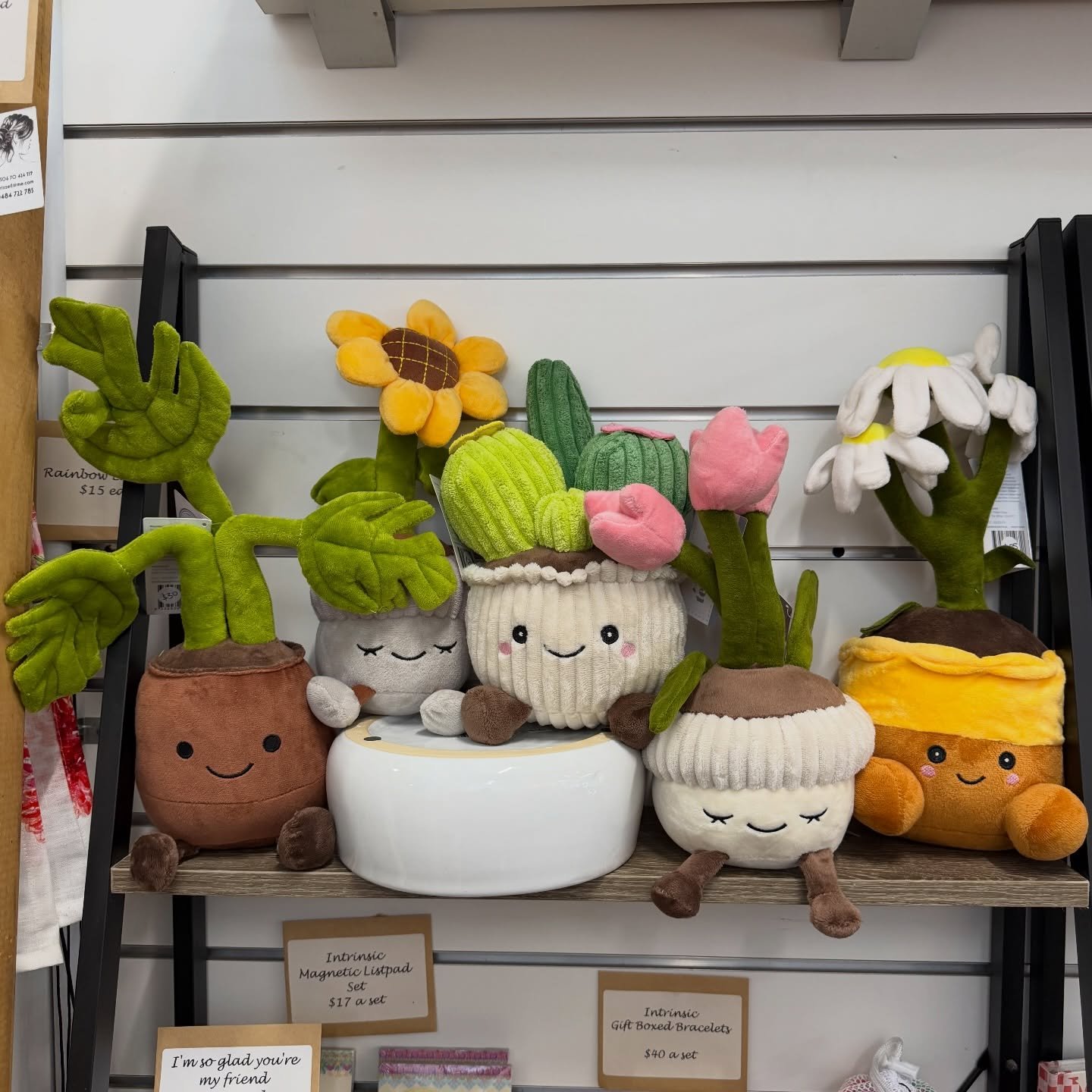 The only plants guaranteed to survive in every home 🌵😂
Zero watering. Maximum cuteness.

Which one would you take home? 🌼🌵
The cactus may just have to come home with me 🙊 Ri