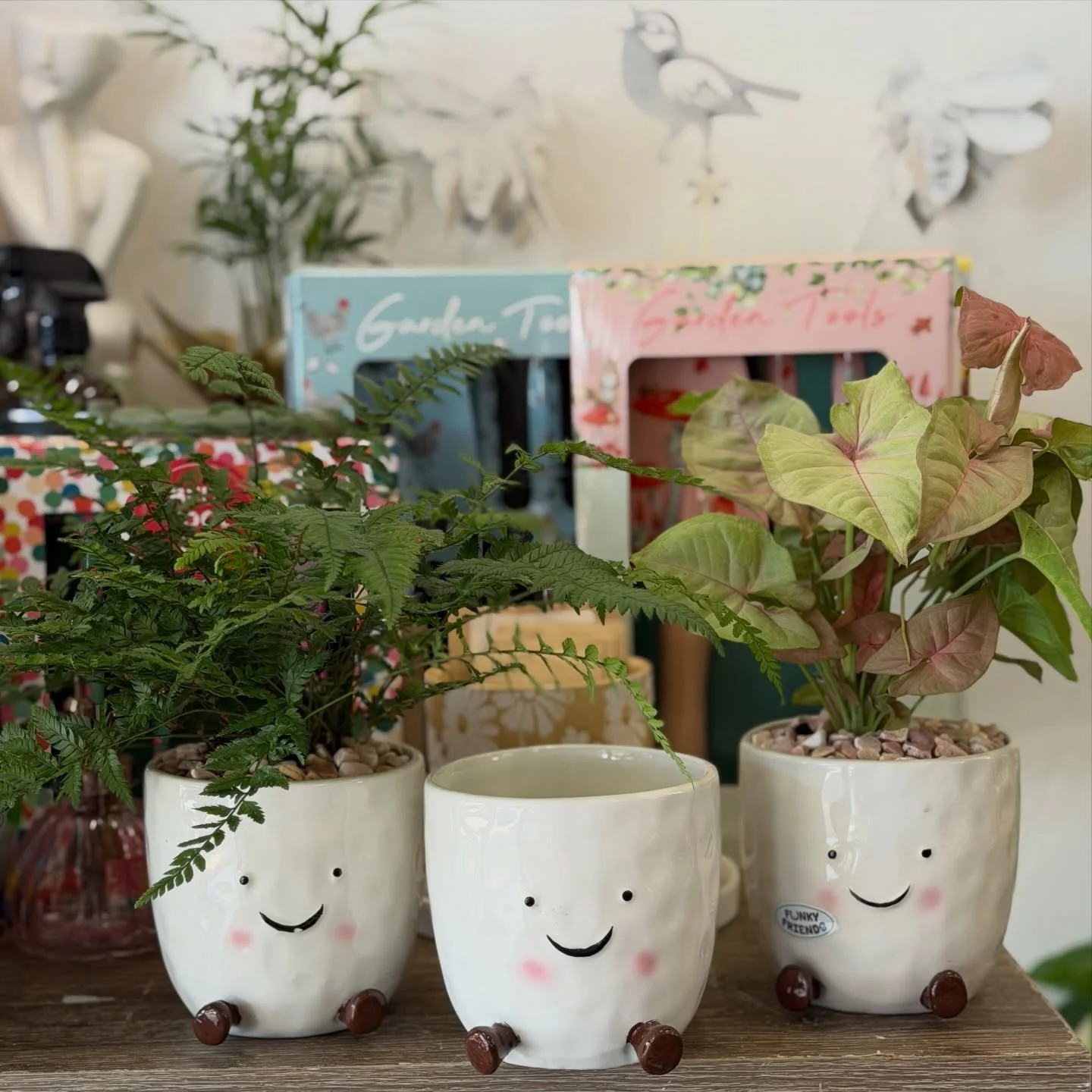 Just one more plant&hellip; we promise 🪴😉

Happy Saturday! Our plant babies are ready for their forever homes 🌿
Pop in and take one (or three) home 

⏰ 8.30-12